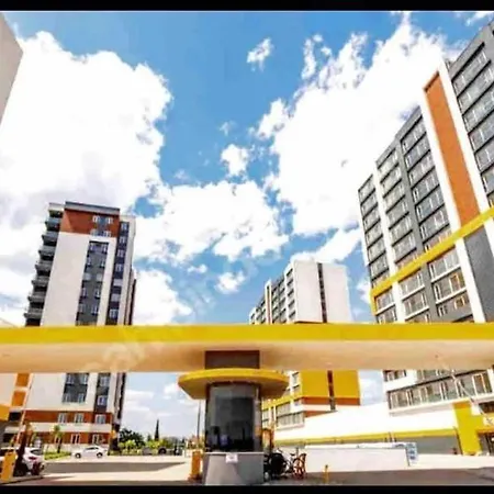 Luxry With Swimming Pool